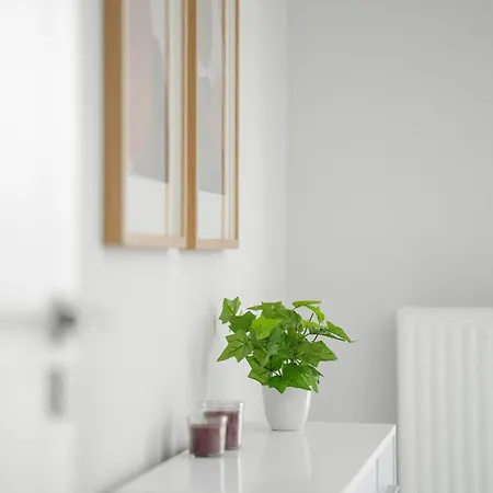 Osiedle Goplana Free Garage By Renters Apartmán