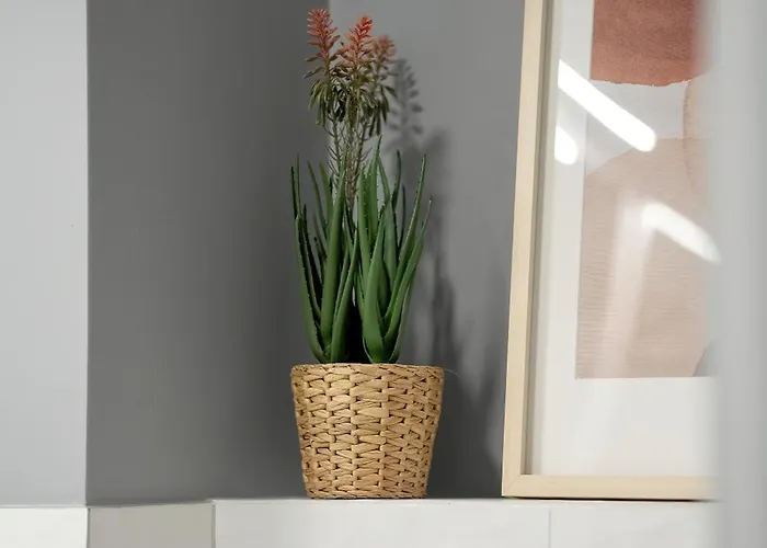 Osiedle Goplana Free Garage By Renters Appartement Poznań